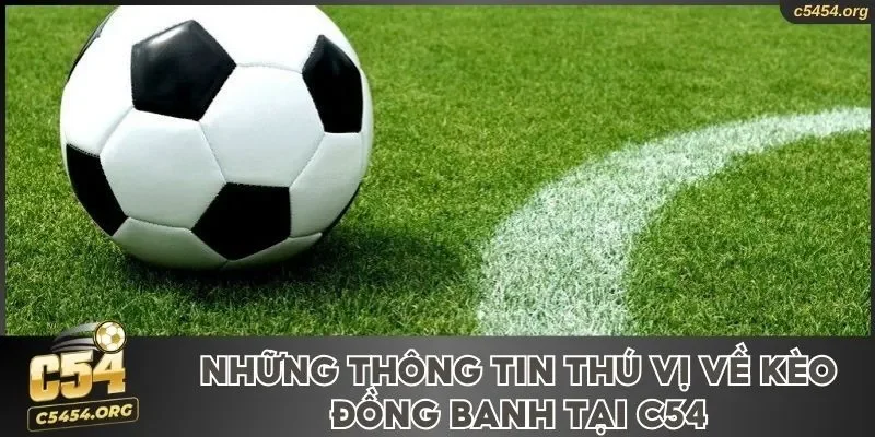 Những thông tin thú vị về kèo đồng banh tại C54